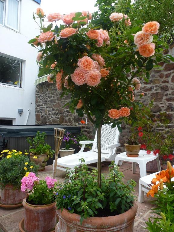 Bayview Guest House Saint Helier Jersey Eksteriør bilde