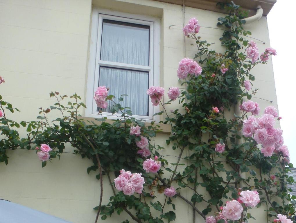 Bayview Guest House Saint Helier Jersey Eksteriør bilde